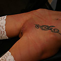 whippedwomen.com