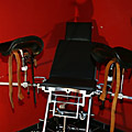 whippedwomen.com