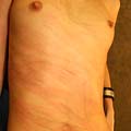 whippedwomen.com