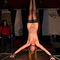 whippedwomen.com